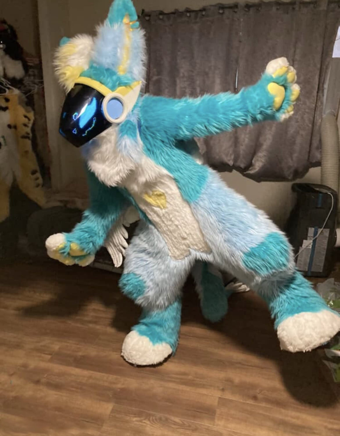 IMG_8270-(6) (1) copy